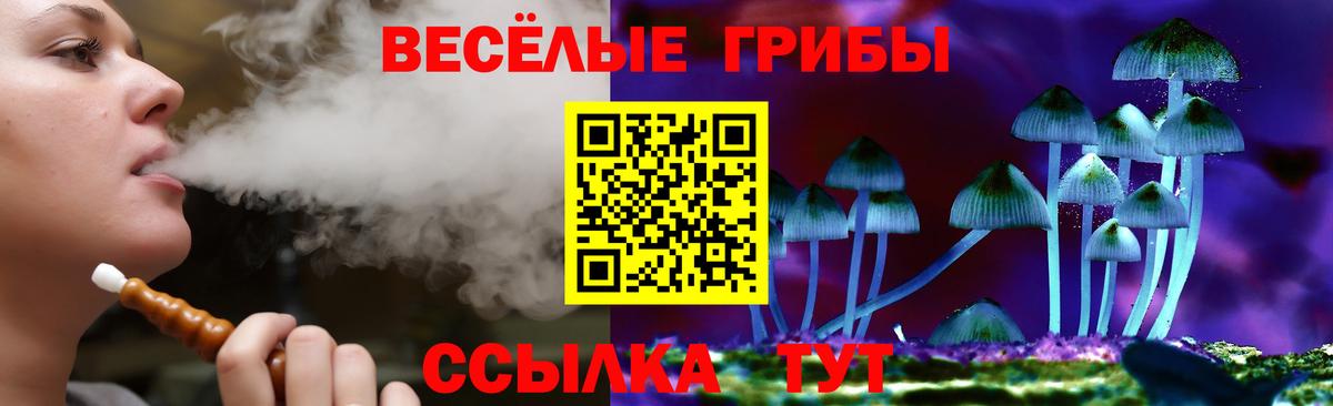 Псилоцибиновые грибы Psilocybe Саров